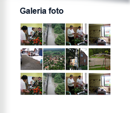 Galeria